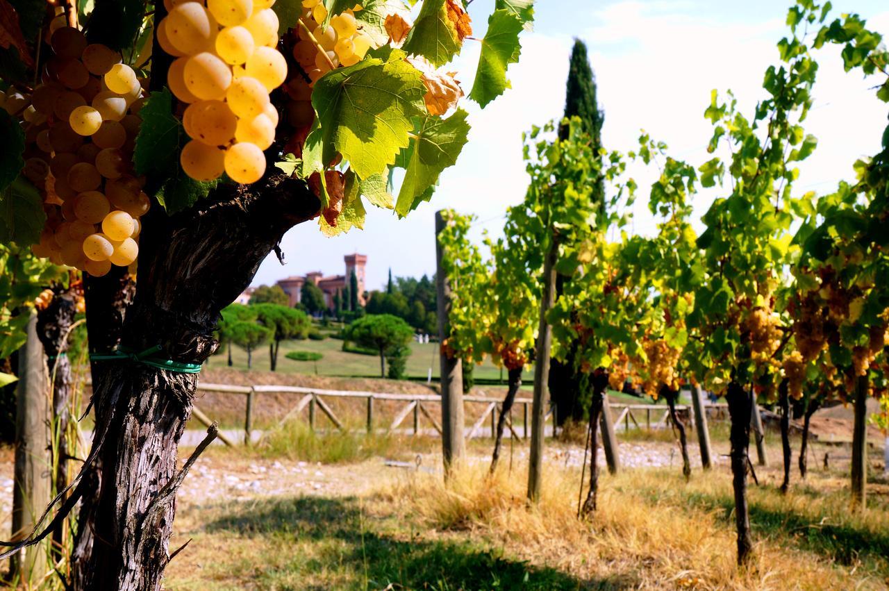 בית הארחה Capriva del Friuli 	Casale In Collina מראה חיצוני תמונה